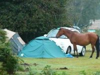 Roundhill Caravan Park & Campsite