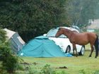 фото отеля Roundhill Caravan Park & Campsite