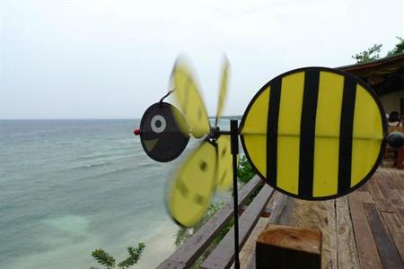 фото отеля Bohol Bee Farm