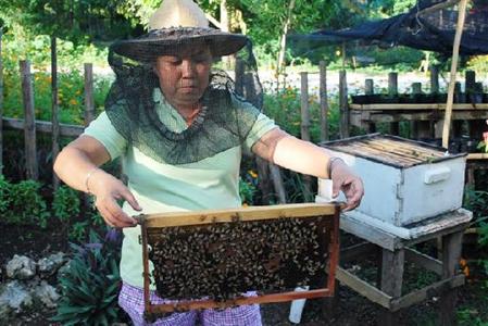 фото отеля Bohol Bee Farm