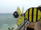 фото отеля Bohol Bee Farm