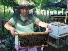 фото отеля Bohol Bee Farm