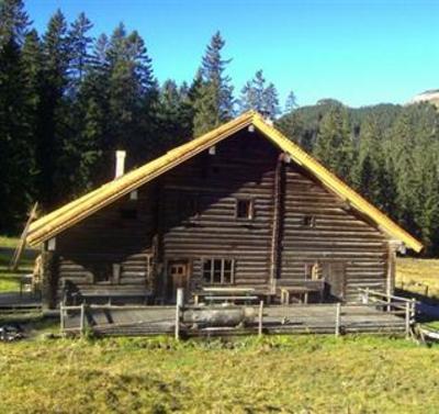 фото отеля Alpin Hutte