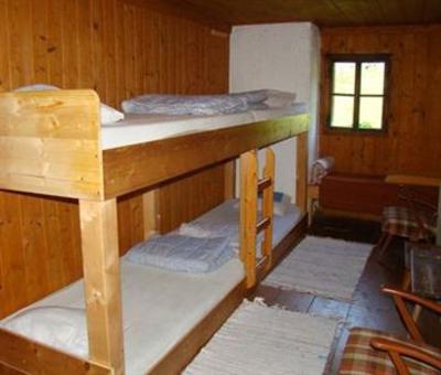 фото отеля Alpin Hutte