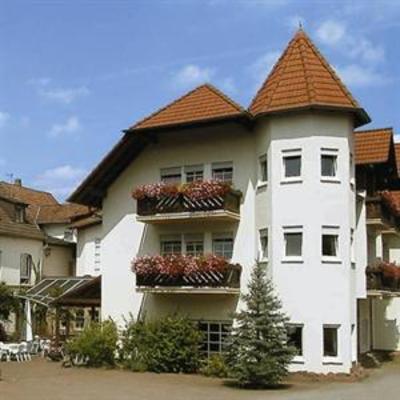 фото отеля Landgasthof-Hotel "Zum Ochsen"