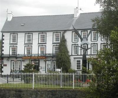 фото отеля Neuadd Arms Hotel