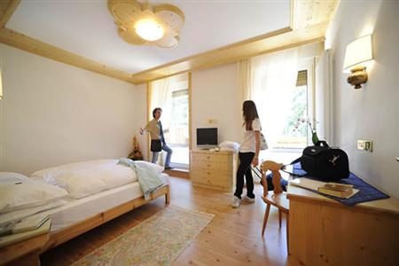 фото отеля Hotel Vioz