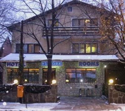 фото отеля Hotel Amfora Dimitrovgrad