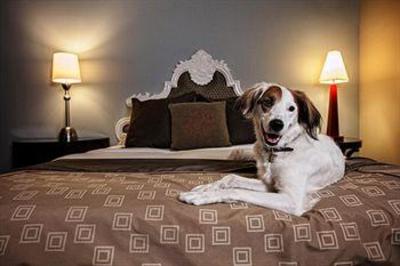 фото отеля Alexis Hotel - a Kimpton Hotel