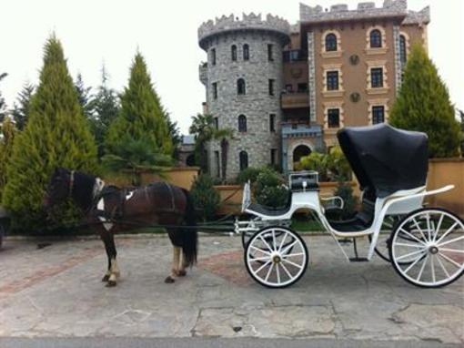 фото отеля Castle Konti Hotel