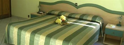 фото отеля City Hotel Chivasso