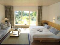Hotel Der Wilde Schwan
