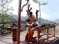 Wild Elephant Eco Friendly Resort