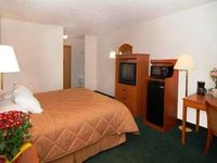 Comfort Inn Airport Flint