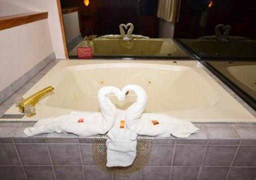 фото отеля Econo Lodge Inn & Suites Bettendorf