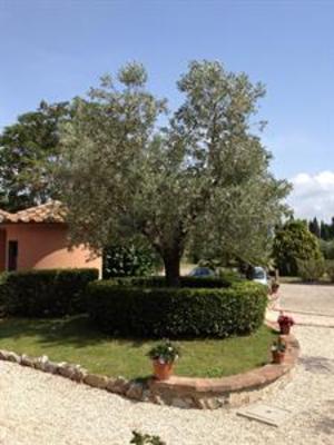 фото отеля Casale Etrusco Apartment Castagneto Carducci