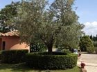 фото отеля Casale Etrusco Apartment Castagneto Carducci