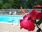 фото отеля Captain Freeman Inn