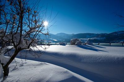фото отеля Hotel Allgau Sonne