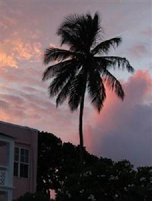 фото отеля Southern Palms Beach Club
