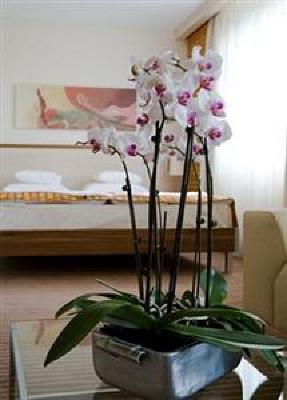 фото отеля Hotel Famulus