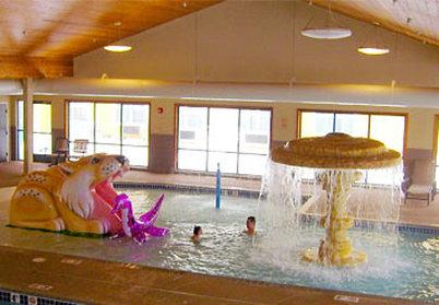 фото отеля TownePlace Suites Rochester