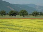 фото отеля Hermitage Hotel Norcia