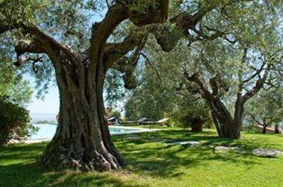 фото отеля Villa Cicolina