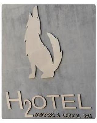 фото отеля H2otel Congress & Medical Spa Hotel Unhais da Serra