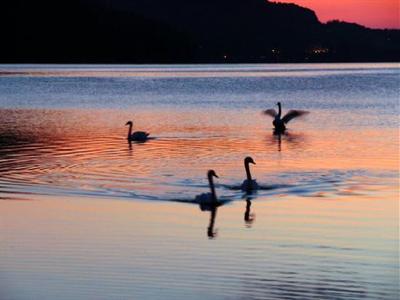 фото отеля Hotel Seerose Fuschl am See