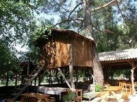 Turkmen Tree Houses