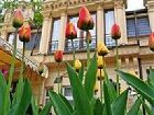 фото отеля Boutique-hotel Chenonceau