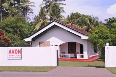 фото отеля Avon Hikkaduwa Guest House