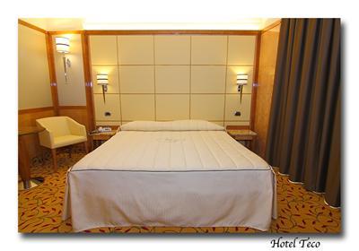 фото отеля Hotel Teco