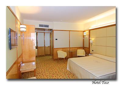 фото отеля Hotel Teco