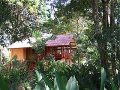 фото отеля Jungle House at Siboya Bungalows