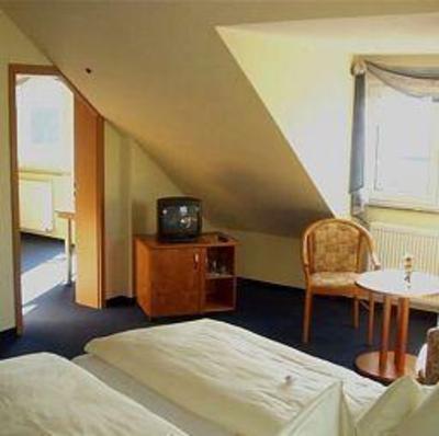 фото отеля Katharinenhof Hotel Klingenberg am Main