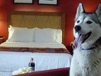 Residence Inn Seattle South / Tukwila