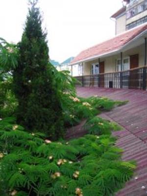 фото отеля Guest House Edem