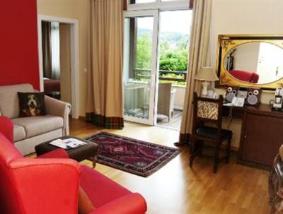 фото отеля Seehotel Europa