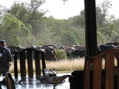 фото отеля Monwana Game Reserve Lodge Hoedspruit