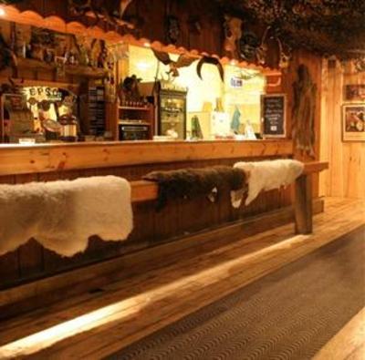 фото отеля Viking Motel