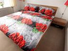 фото отеля Hotel Skandinavia