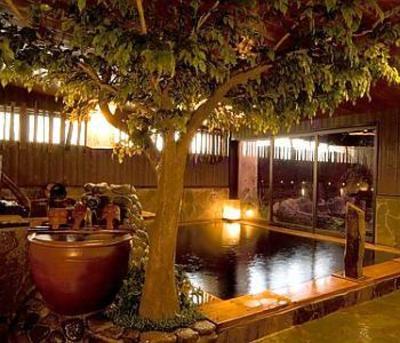 фото отеля Dormy Inn Toyama