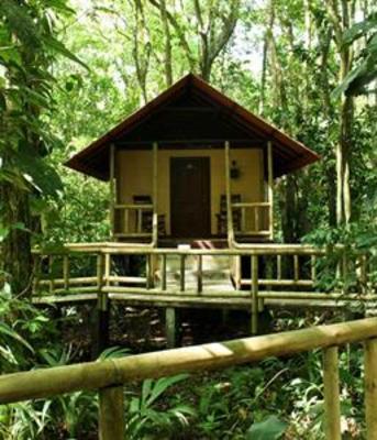 фото отеля Evergreen Lodge Tortuguero