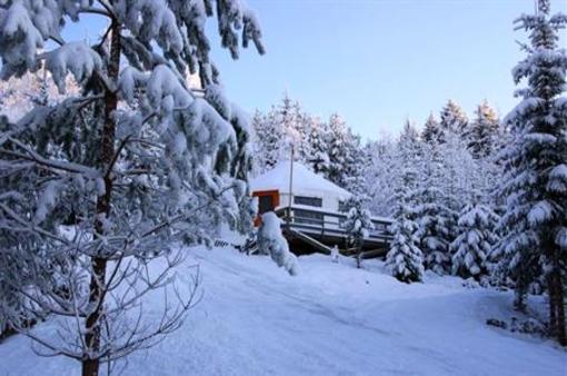 фото отеля Halvorseth Yurts
