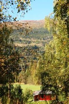 фото отеля Halvorseth Yurts