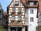 фото отеля Lamm Hotel & Restaurant Mosbach