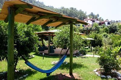 фото отеля Lazy Lizard Hotel