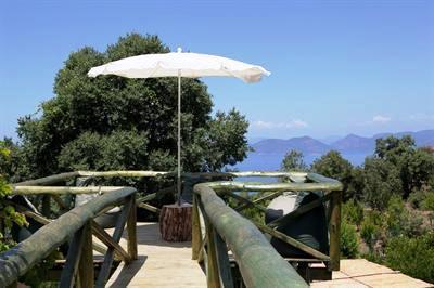 фото отеля Lazy Lizard Hotel